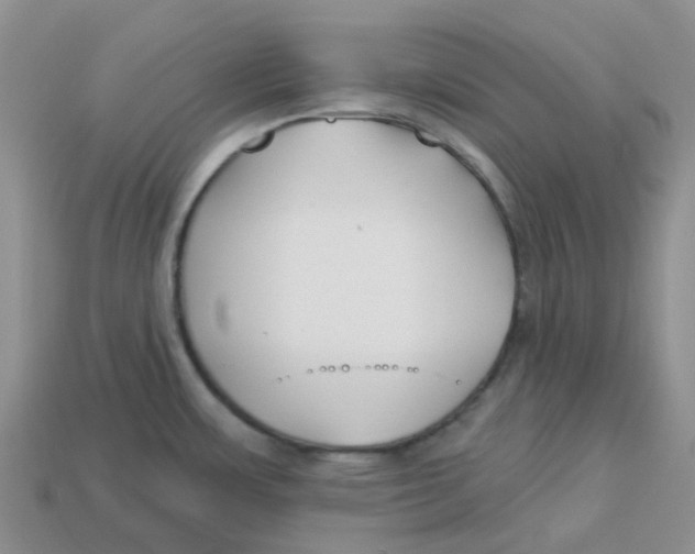 X0000113581483200910161529