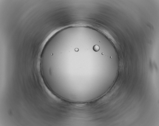 X0000113581484200910161529