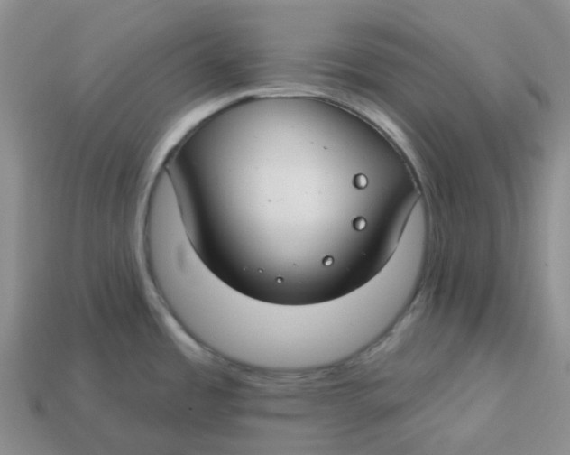 X0000113581485200910161529