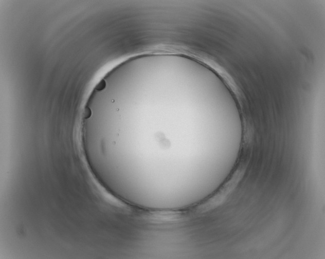 X0000113581486200910161529