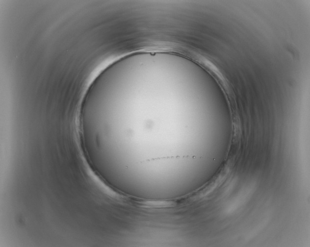 X0000113581487200910161529