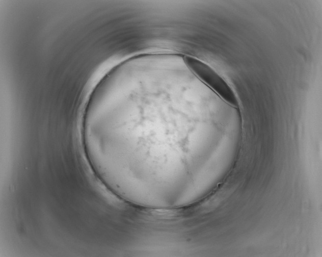 X0000113581488200910161529