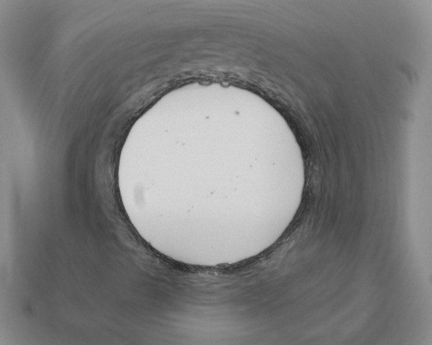 X0000113581489200910161529