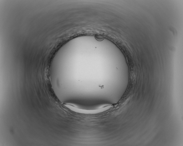 X0000113581490200910161529