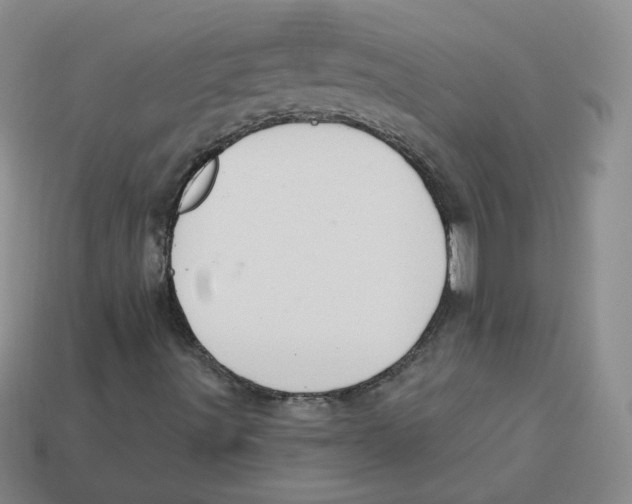 X0000113581491200910161529