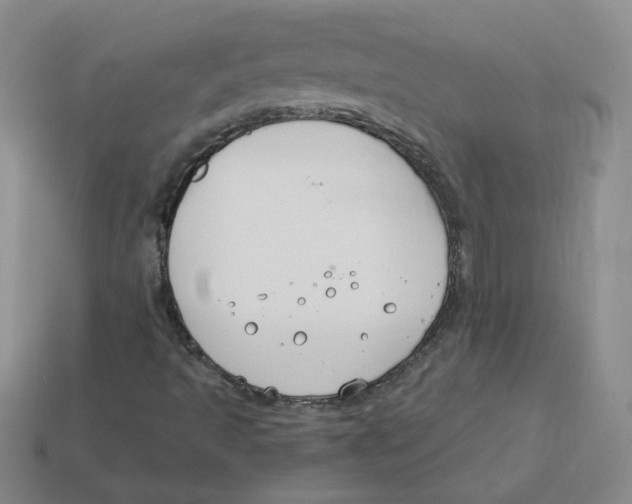 X0000113581493200910161529