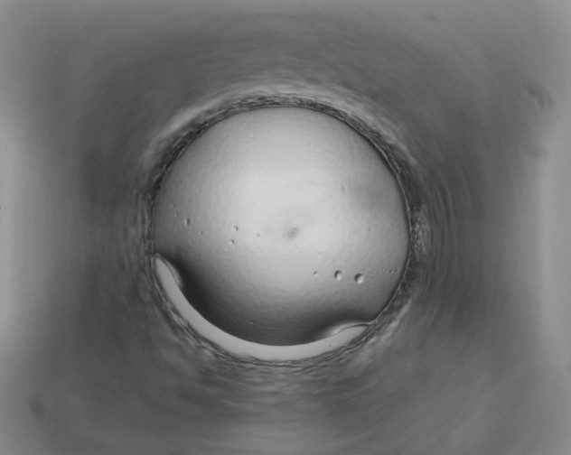 X0000113581494200910161529