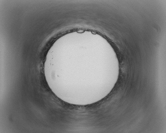 X0000113581495200910161529