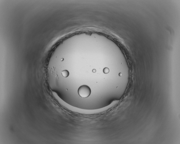 X0000113581496200910161529