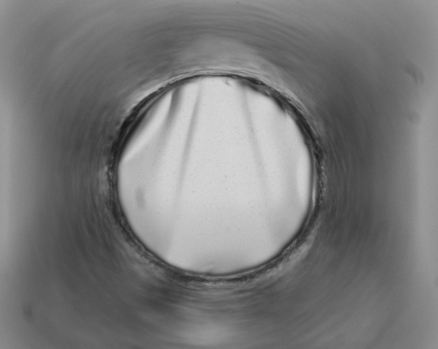 X0000113581497200910161529