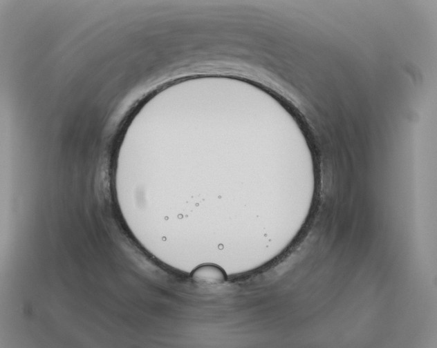 X0000113581498200910161529