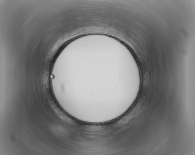 X0000113581499200910161529