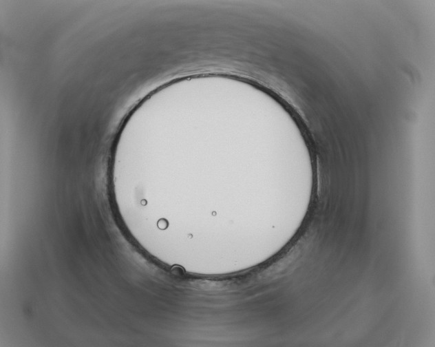 X0000113581500200910161529