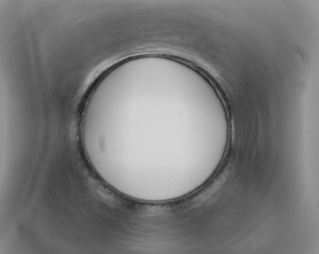 X0000113581501200910161529