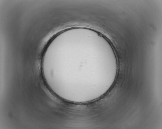 X0000113581503200910161529