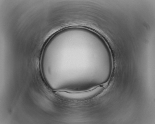 X0000113581505200910161529