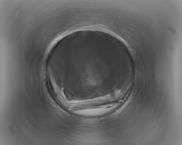 X0000113581506200910161529