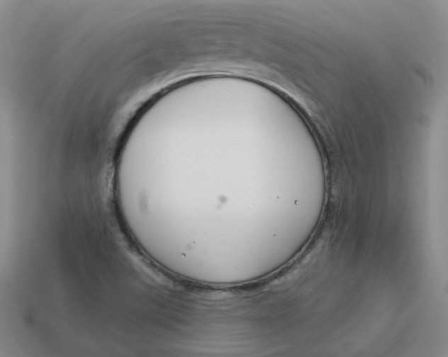 X0000113581507200910161529