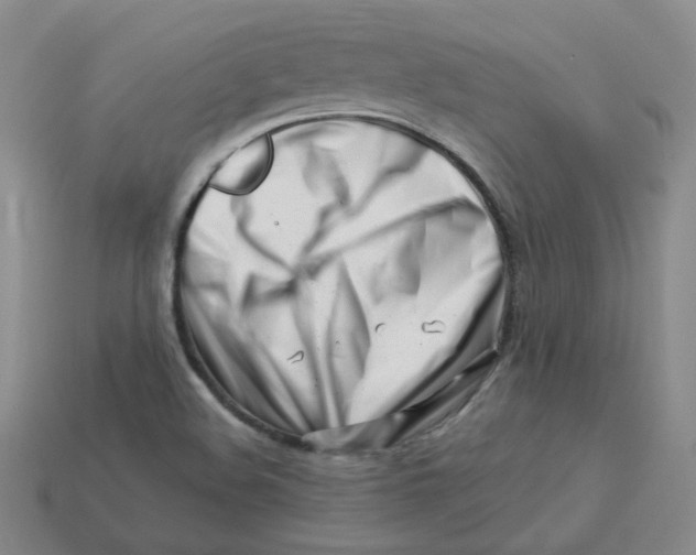 X0000113581508200910161529