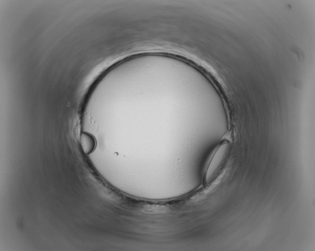 X0000113581509200910161529