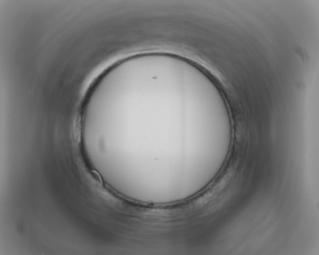 X0000113581510200910161529