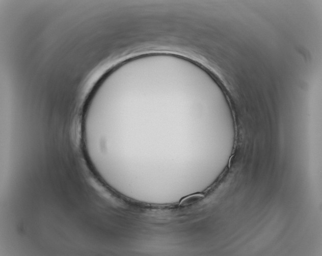 X0000113581511200910161529