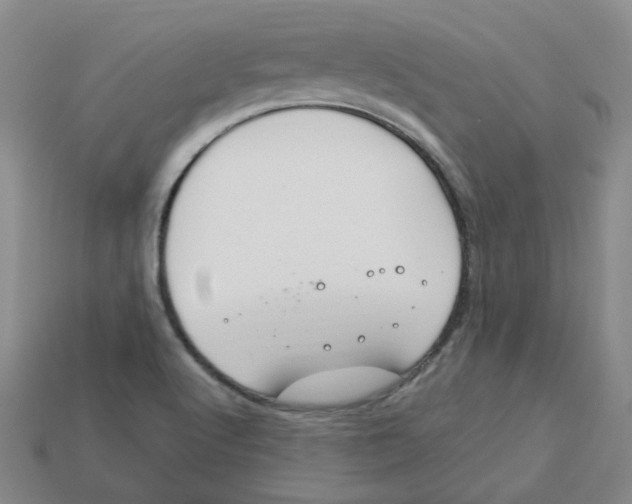 X0000113581512200910161529