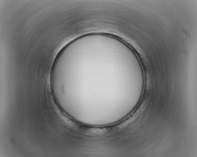 X0000113581513200910161529