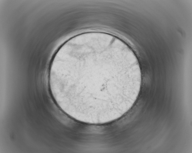 X0000113581514200910161529