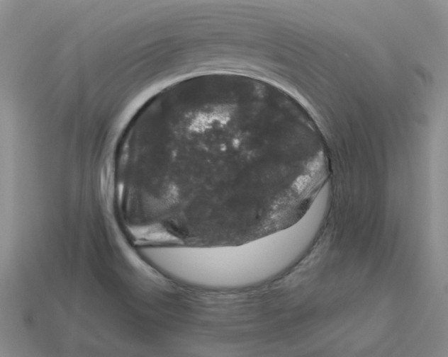 X0000113581515200910161529