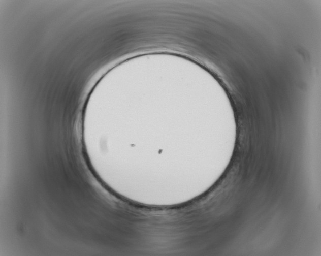 X0000113581516200910161529