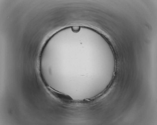 X0000113581517200910161529