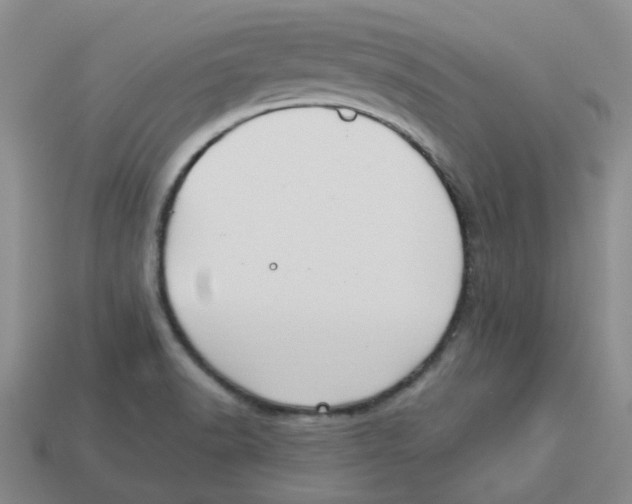 X0000113581518200910161529