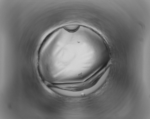 X0000113581519200910161529