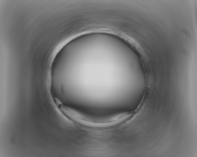 X0000113581520200910161529