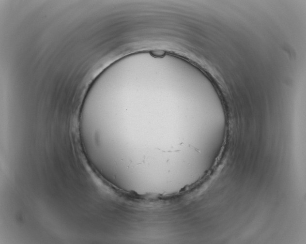 X0000113581521200910161529