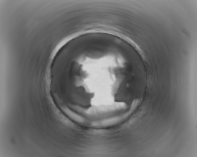 X0000113581522200910161529