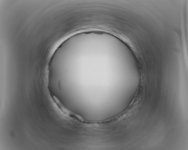 X0000113581524200910161529