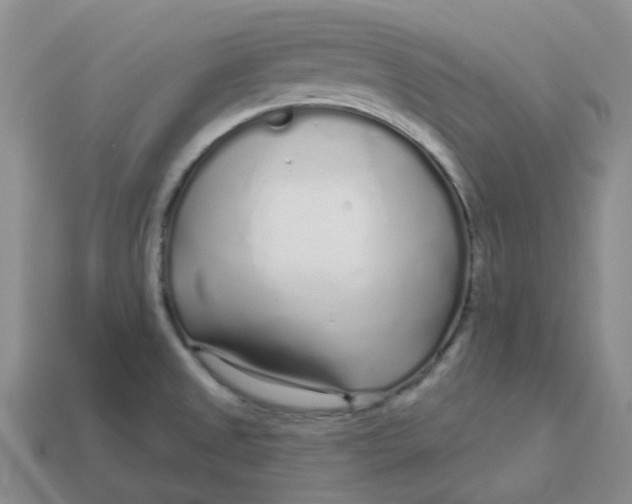 X0000113581525200910161529