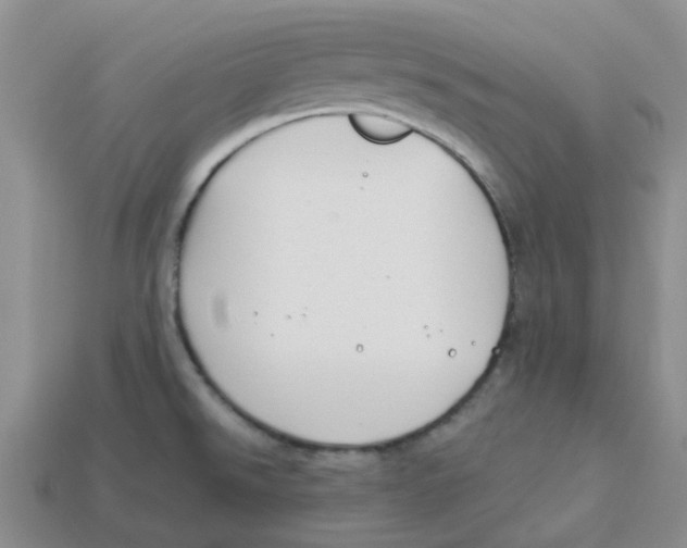 X0000113581526200910161529