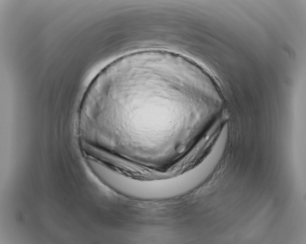 X0000113581527200910161529