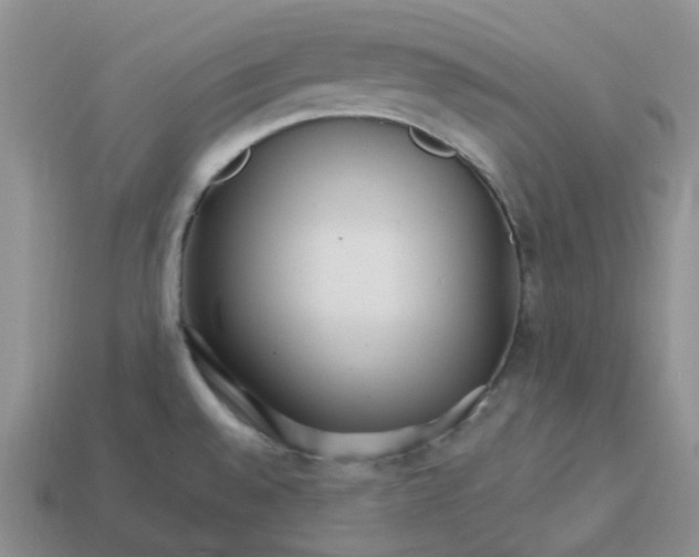 X0000113581528200910161529