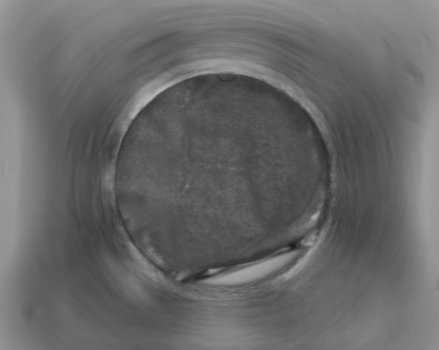 X0000113581529200910161529