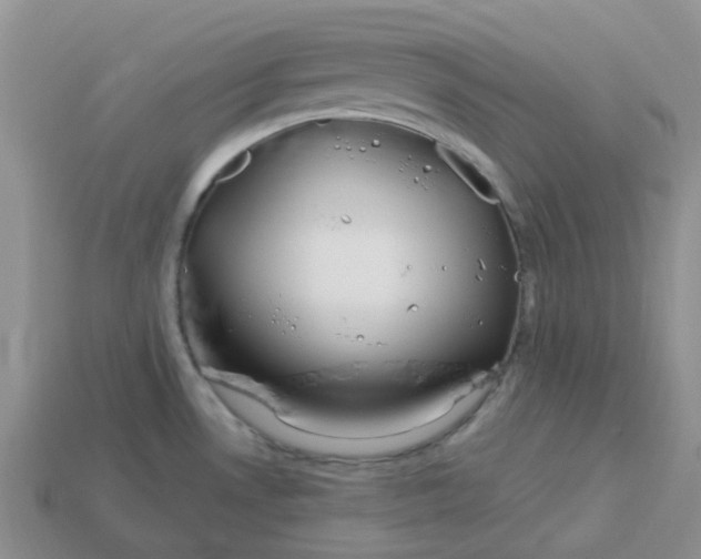 X0000113581530200910161529