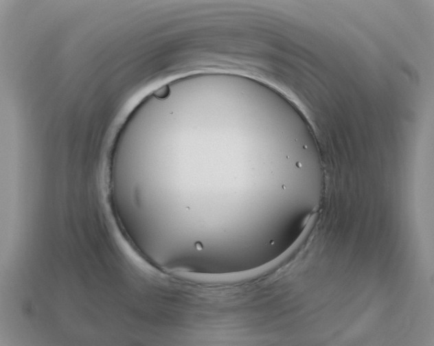 X0000113581531200910161529