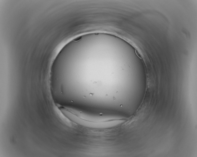 X0000113581532200910161529