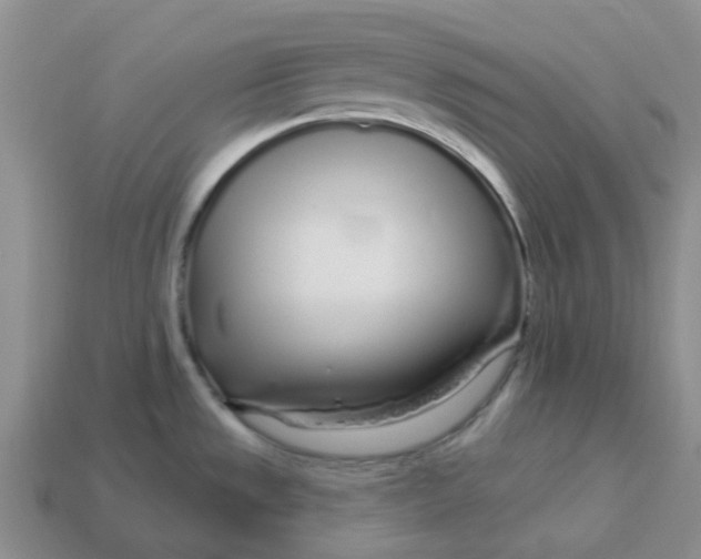 X0000113581533200910161529