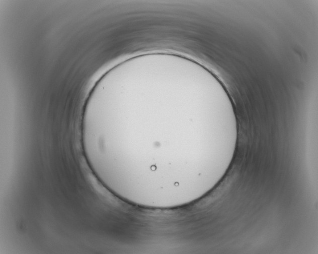 X0000113581534200910161529