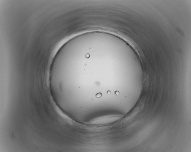 X0000113581535200910161529