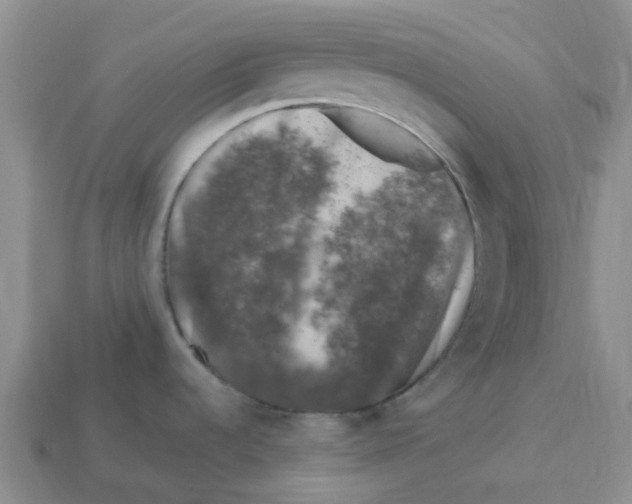 X0000113581536200910161529